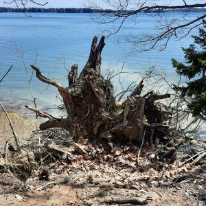 Meet your Posher, Timothy